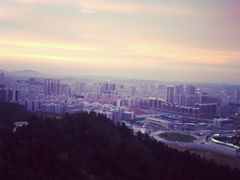 -阿水土鸡(远光店)