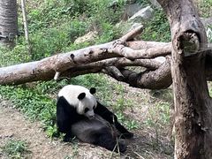 -宁波野生动物园