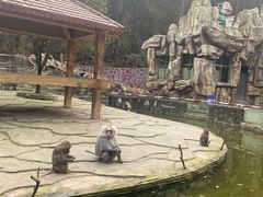 -贵州森林野生动物园