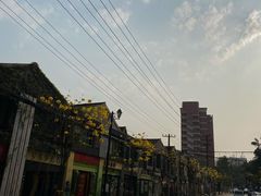 -黄桷坪涂鸦艺术街