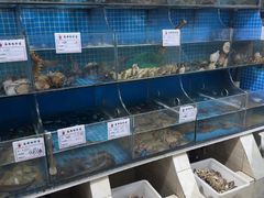 -宾朋海鲜饭庄(兴海路店)