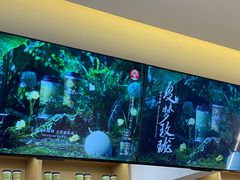 -霸王茶姬(正佳广场店)