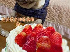 -锦时动物奶油蛋糕(茂业东方时代店)