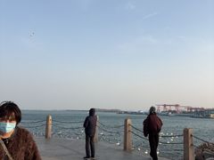 -烟墩角天鹅湖