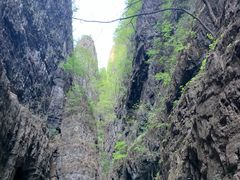 -野三坡百里峡景区
