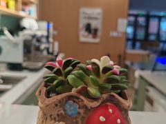 -清华大学玉泉医院