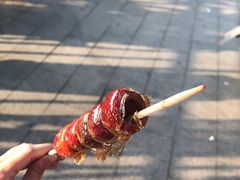 -和禄德冰糖葫芦