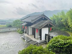 -大唐贡茶院