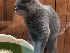 -龟与熊猫宠物公园(南坪店)
