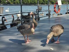 -艾溪湖湿地公园