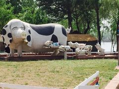 -太阳部落
