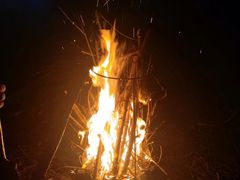 -前小桔亲子创意农场·草莓采摘·露营烧烤