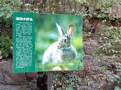 -湖洞水自然风景区
