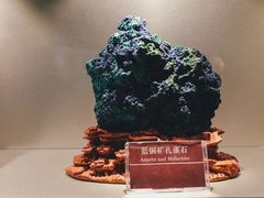 -甘肃地质博物馆