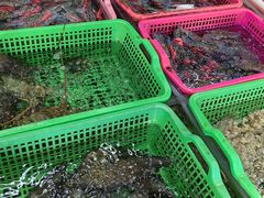 -众味海鲜大排档·活海鲜·潮汕味(南澳店)