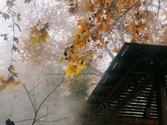 -春晖园度假酒店温泉