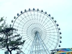 -琴岛之星摩天轮