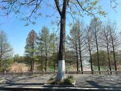 -高淳老街