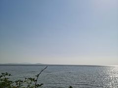 -贡湖湾湿地公园