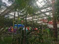 -南宫五洲植物乐园