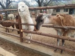 -西安秦岭野生动物园