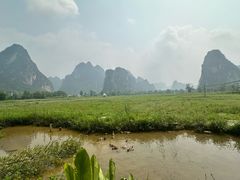 -明仕田园