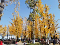 -百林公园-两江幸福广场