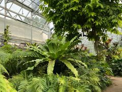 -北京植物园-展览温室