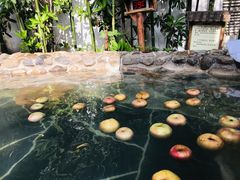 -观唐（国际）度假村温泉