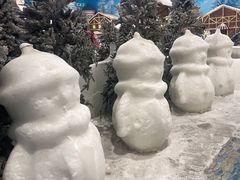 -世界之窗阿尔卑斯冰雪世界