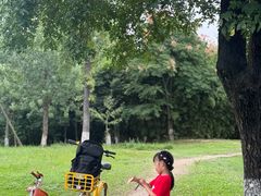 -白鹭湾湿地公园