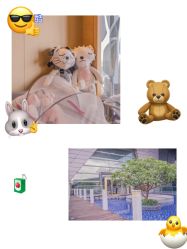 -英芬国际月子中心(岛屿度假月子·洲至奢选香岚店)