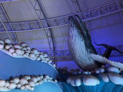-烟台海昌鲸鲨海洋公园