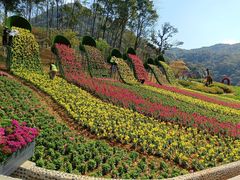 -广州市石门国家森林公园