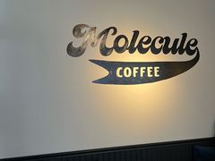 -MOLECULECOFFEE.MANDO 莫勒喝咖啡