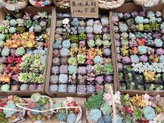 -苏州市皮市街花鸟工艺品市场