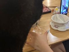 -柴の食堂·日式家庭料理·熊之肆(大学路店)
