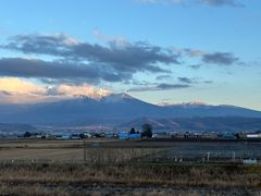 -富田农场