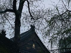 -西安大兴善寺