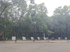 -榴花公园