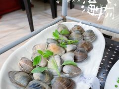 -海大大蒸汽海鲜餐厅·粤菜·特色小炒(欢乐颂店)