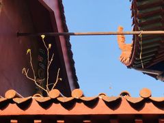 -开福禅寺