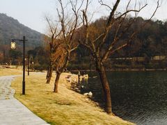 富邦荪湖山庄度假村-宁波富邦荪湖山庄