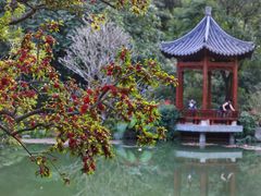 -云溪植物园