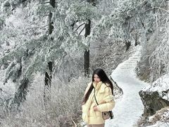 -洛阳白云山景区