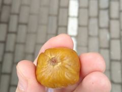 -阿男野栗王(金门路店)