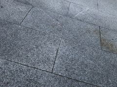 -桃花岛景观公园