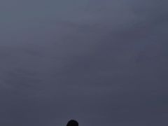 -合肥滨湖国家森林公园