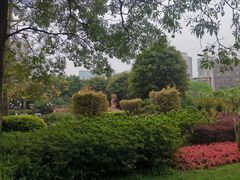 -东风公园