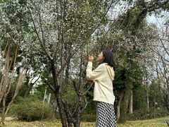 -广东中医药博物馆